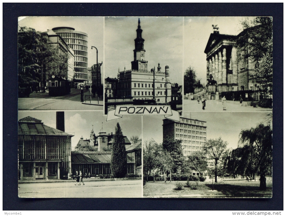 POLAND  -  Poznan  Multi View  Used Postcard - Poland