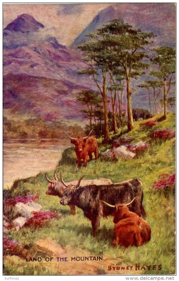MISCELLANEOUS ART - LAND OF THE MOUNTAIN (CATTLE) - SYDNEY HAYES Art119 - Other & Unclassified