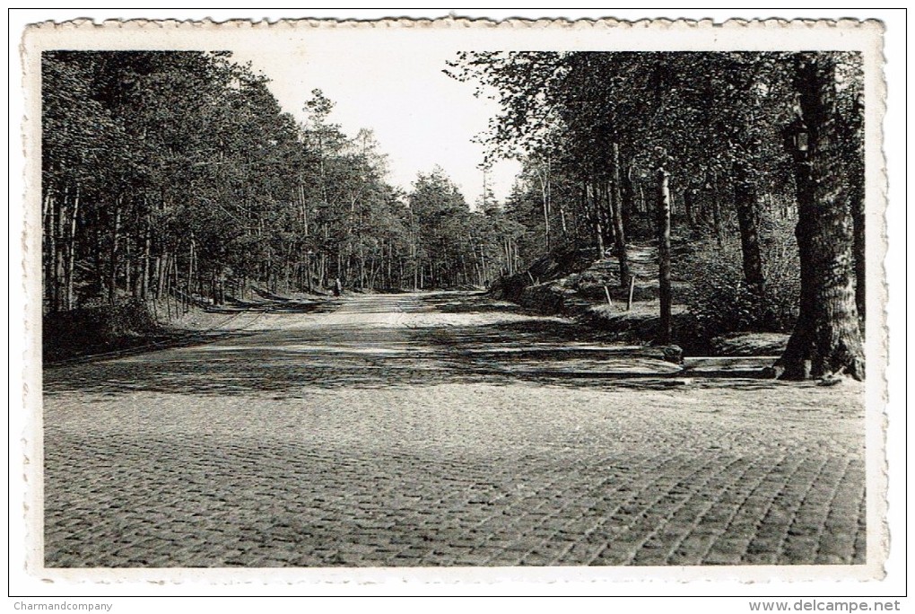 Bouwel (Grobbendonk), De Lindeens (Kruispunt)  - Uitg. Bruynseels, Herenthout - 2 Scans - Grobbendonk