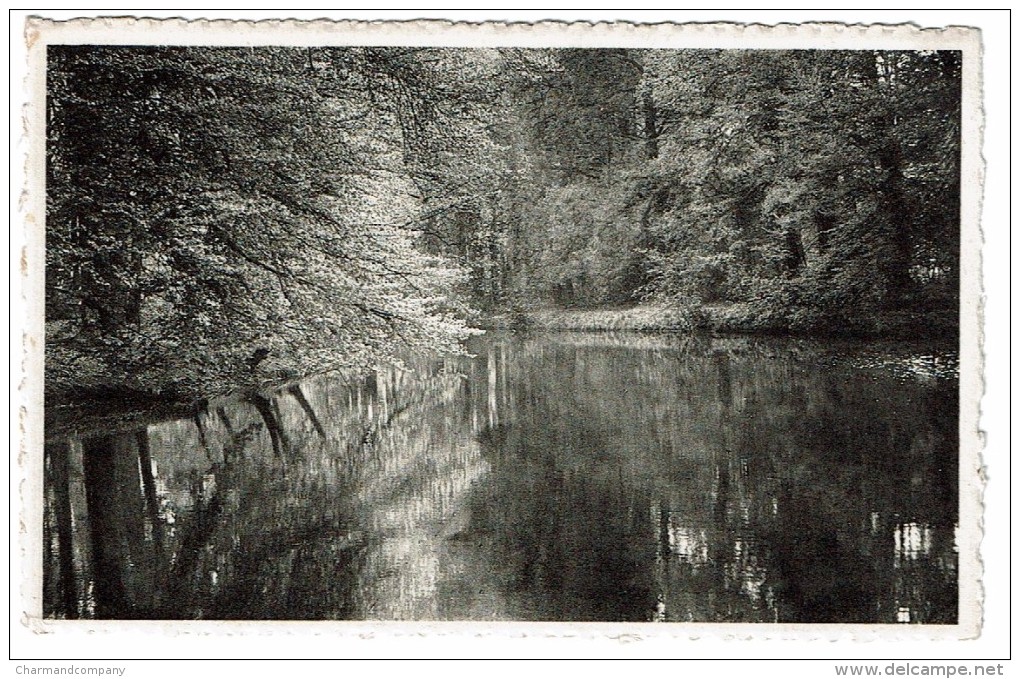 Bouwel, Kasteel Van Heer Bosschaert De Bouwel, Het Park, Uitg. Bruynseels, Herenthout - 2 Scans - Grobbendonk