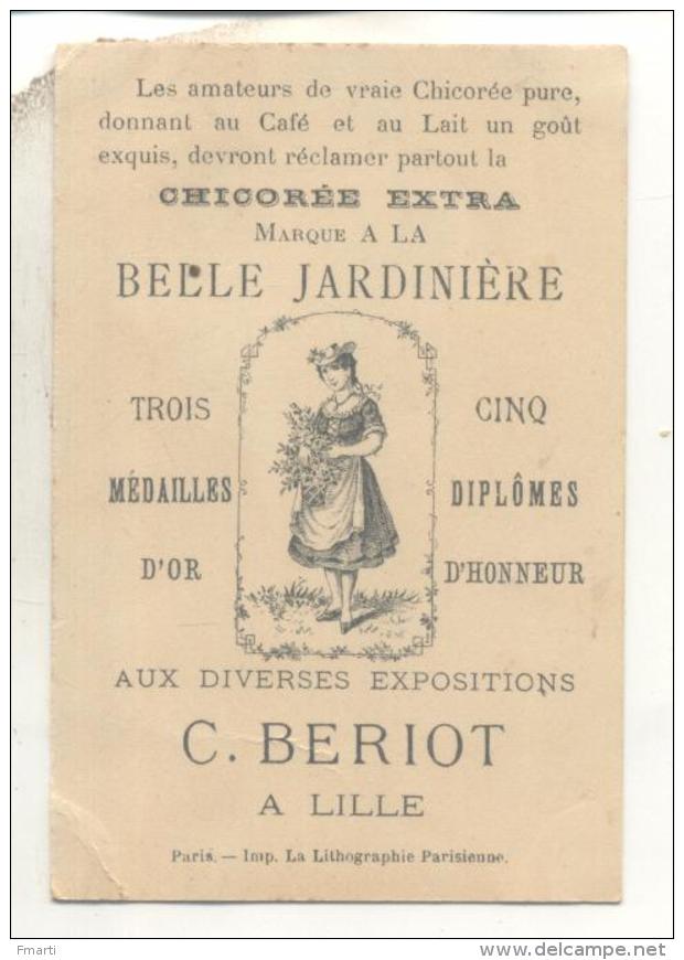 18 Chromos Chicorée Extra A La Belle Jardinière, C. Beriot à Lille - Thé & Café