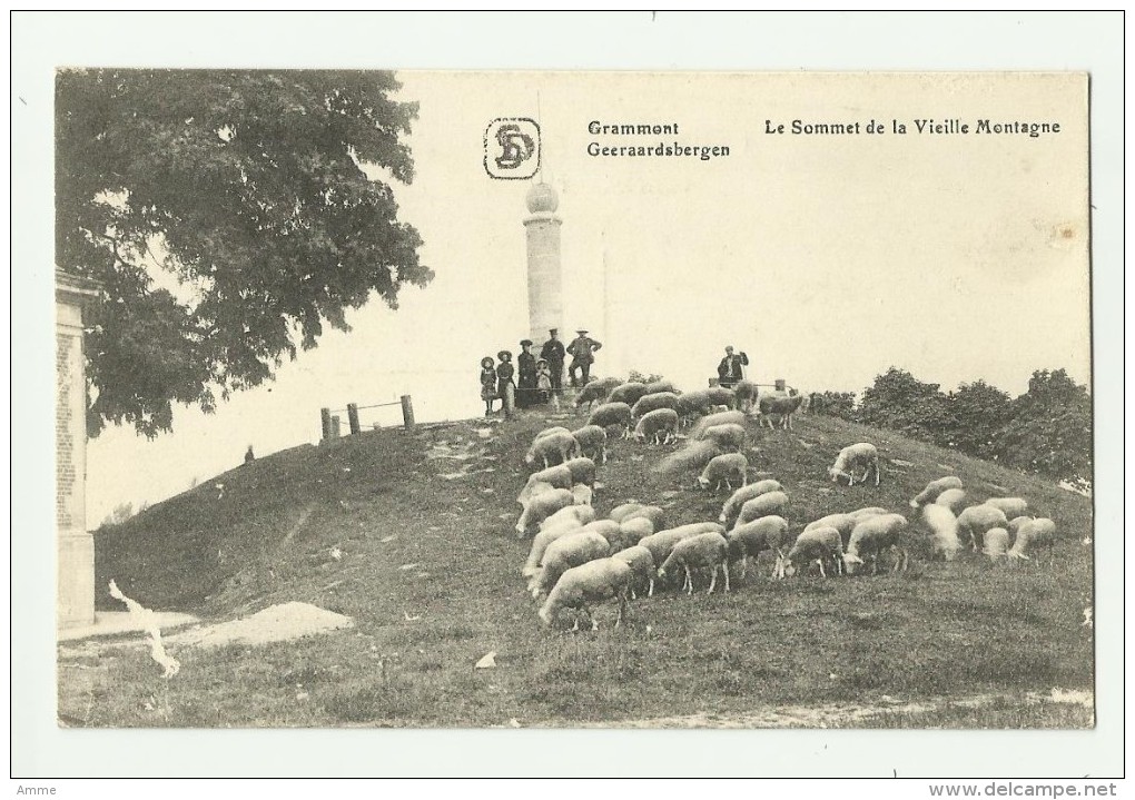 Geraardsbergen - Grammont  *  Le Sommet De La Vieille Montagne  (mouton - Schapen) - Geraardsbergen