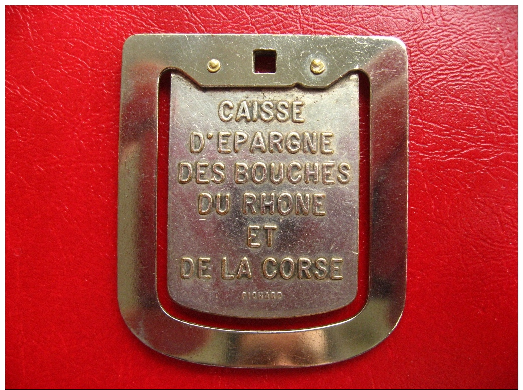 Insigne Caisse D'Epargne Des Bouches Du Rhône Et De La Corse - 40x35mm 14g - Professionnels / De Société