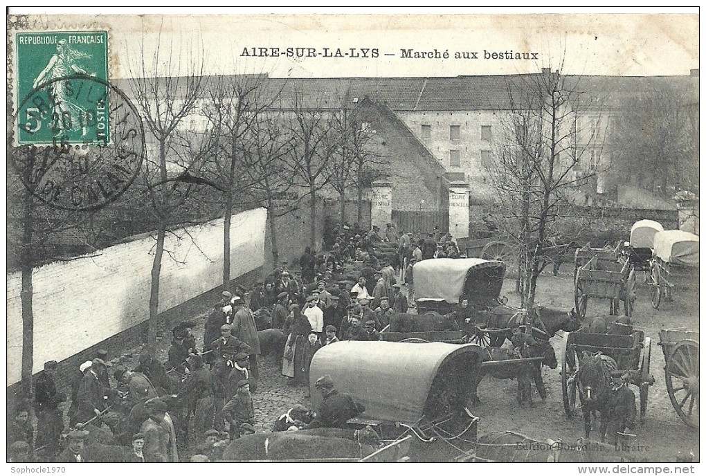 PAS DE CALAIS - 62 - 2016 - 2 -AIRE SUR LA LYS - Marché Aux Bestiaux - Top Animation - Aire Sur La Lys