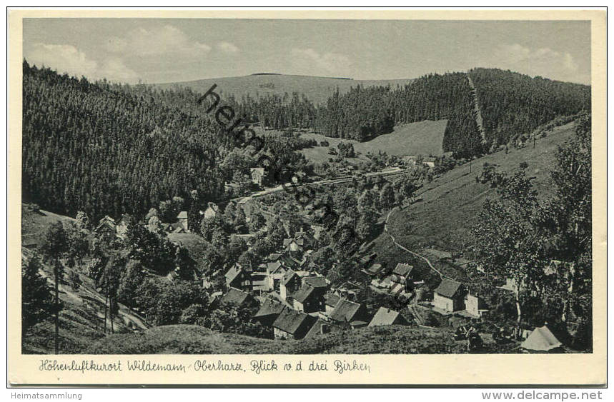 Wildemann - Blick Von Den Drei Birken - Verlag Lederbogen Goslar Gel. 1957 - Clausthal-Zellerfeld