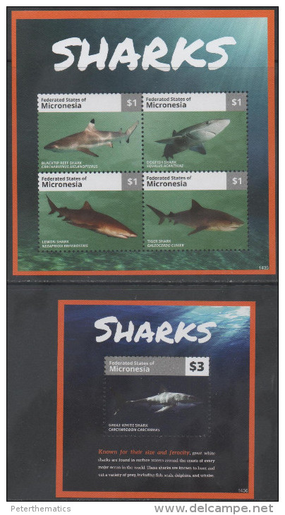 MICRONESIA, 2014, MNH, MARINE LIFE, SHARKS, NICE PHOTOS,SHEETLET+S/SHEET - Peces