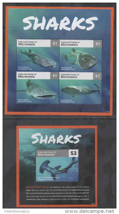 MICRONESIA, 2014, MNH, MARINE LIFE, SHARKS, WHALE SHARK, HAMMERHEAD SHARK, PART II, NICE PHOTOS,SHEETLET+S/SHEET - Fishes