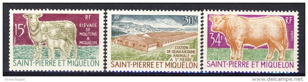 S. Pierre Et Miquelon 1970 Serie N. 407-409 Allevamento MNH Catalogo € 62 - Nuevos