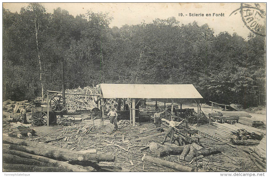 03 - ALLIER - Moulins - Scierie En Forêt - Moulins