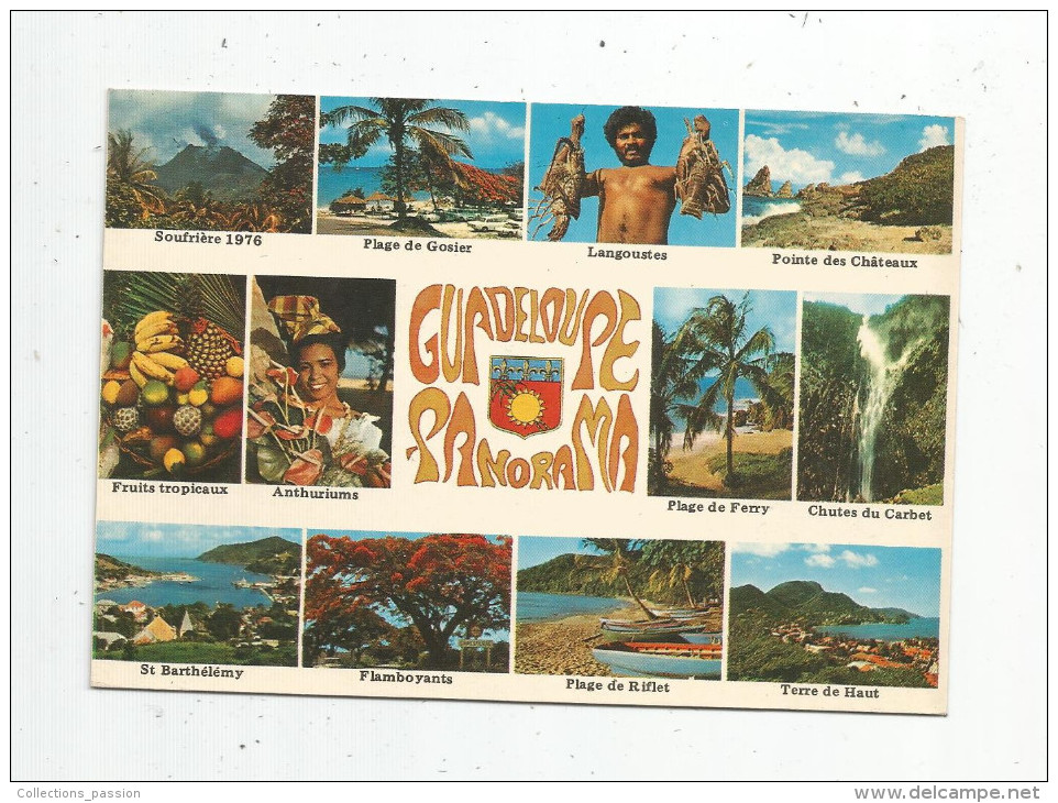 G-I-E , Cp , GUADELOUPE , Panorama , Multi Vues , Voyagée 1981 , Ed : Scandinexim N° S.096 - Basse Terre