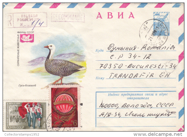 43598- EMPEROR GOOSE, BIRD, REGISTERED COVER STATIONERY, 1980, RUSSIA - Oche