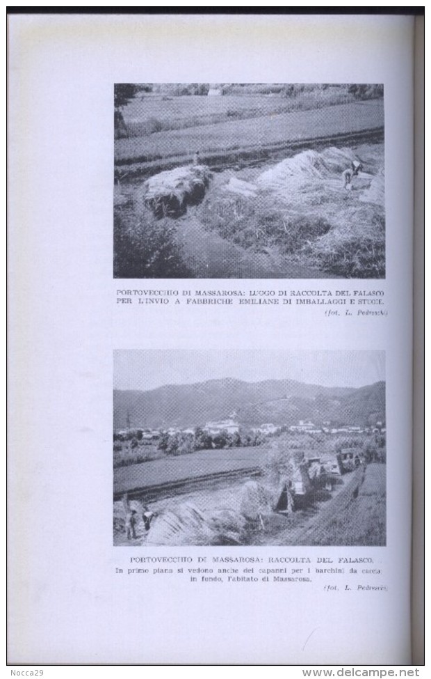 RARO LIBRO DEL 1956 - IL LAGO DI MASSACIUCCOLI (VIAREGGIO LUCCA PISA) - Jagen En Vissen