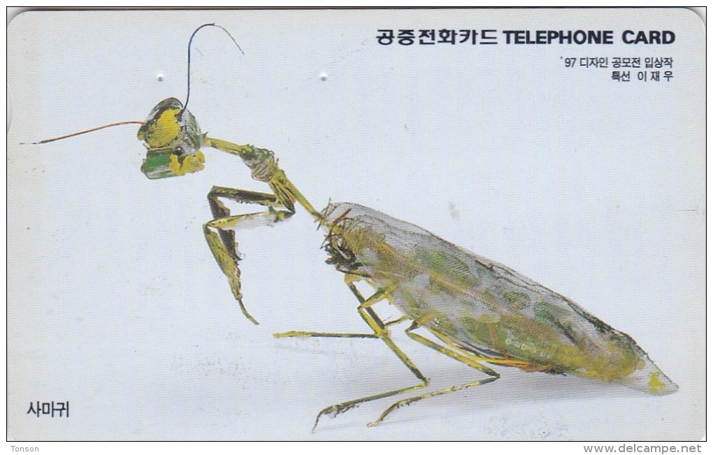 Korea, MO9806123, Mantis, Insect, 2 Scans. - Corea Del Sud