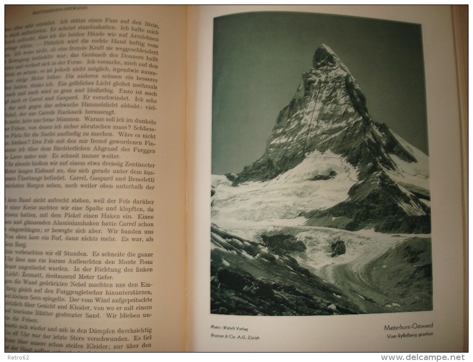 DIE ALPEN-LES ALPES-LE ALPI &#8594; Monatszeitschrift Des Schw.Alpenclup X-1934 &#9658;480 Seiten Pures Wissen&#9668; - Alte Bücher