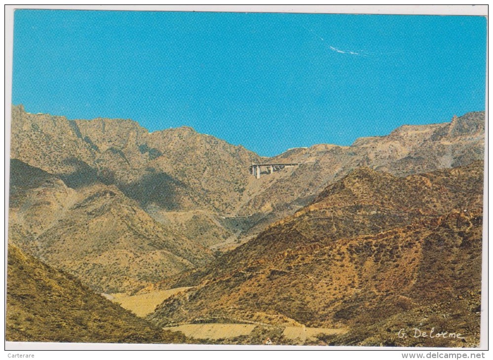 SAUDI ARABIA,ARABIE SAOUDITE,SAUDITA,ARAB EMIRATES,MONTAGNE,PRES TAIEF - Arabie Saoudite