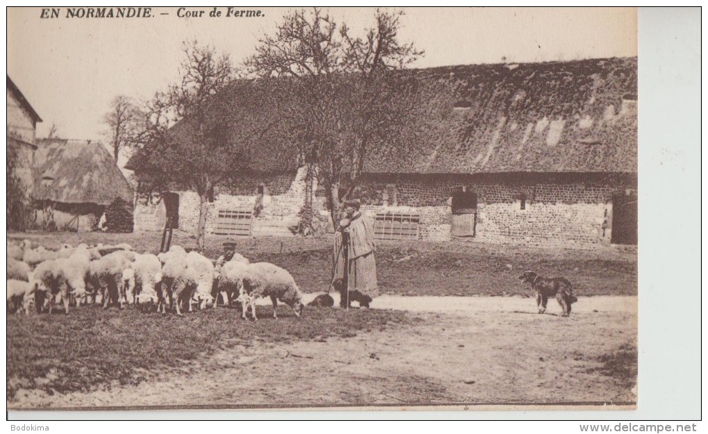 "  En  Normandie  -  Cour  De Ferme  " - Autres & Non Classés