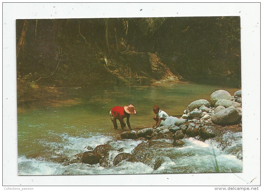 G-I-E , Cp, SPORT , Pêche , Martinique , Saint Joseph , La Rivière Blanche , Petits Pêcheurs De Z'habitants , écrevisses - Pêche