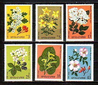 BULGARIA \ BULGARIE - 1981 - Medicinals Plants - 6v**MNH - Nuevos