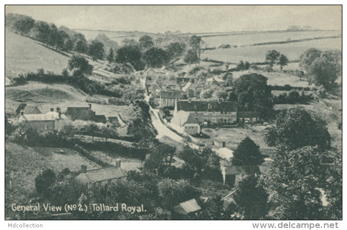 GB TOLLARD ROYAL / General View / - Other & Unclassified