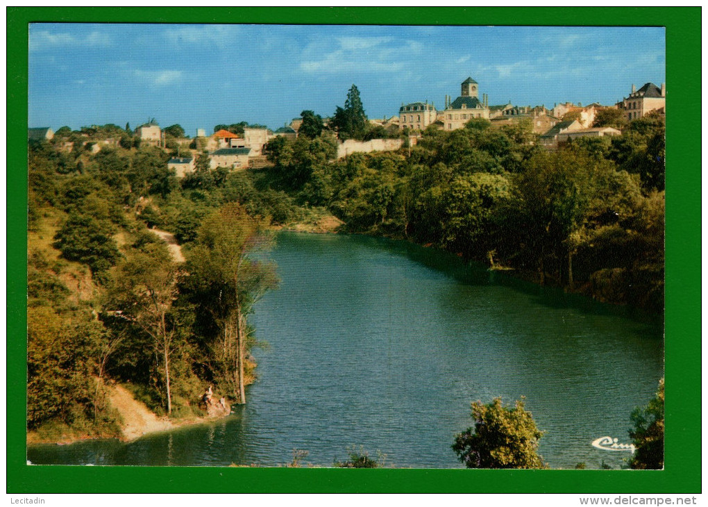 CP29 79 ARGENTON CHATEAU 4955 - Argenton Chateau