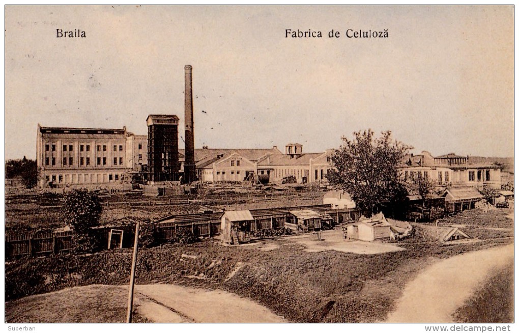 TRAVAIL Du BOIS En ROUMANIE / TIMBER WORKING : BRAILA : FABRICA De CELULOZA / FABRIQUE CELLULOSE FACTORY ~ 1910 (u-335) - Roumanie