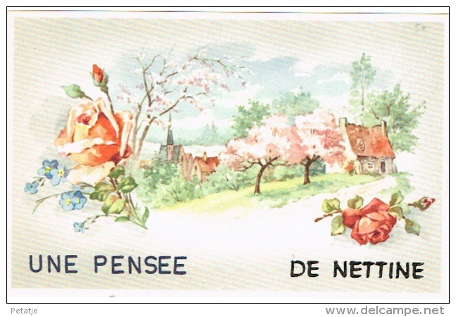 Nettine , Une Pensée De ... - Somme-Leuze