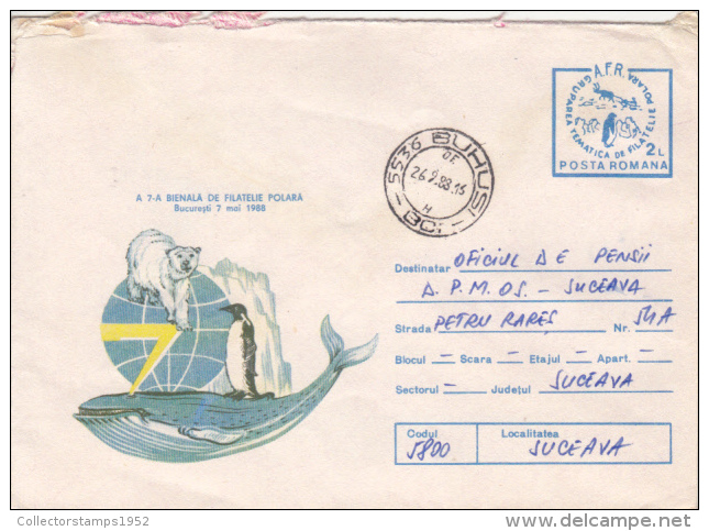 43785- POLAR PHILATELIC EXHIBITION, POLAR BEAR, PENGUIN, WHALE, COVER STATIONERY, 1988, ROMANIA - Events & Gedenkfeiern