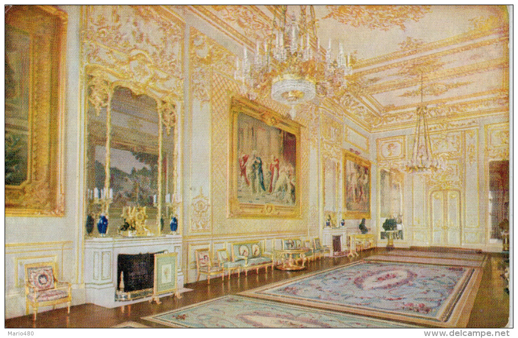 WINDSOR  CASTLE    GRAND  RECEPTION  ROOM    (NUOVA) - Windsor Castle