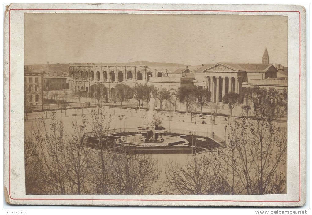 Photographie Ancienne/Félix FESCOURT/Promenade De NÎMES/Esplanade/Vers 1870-75     PHOTN187 - Anciennes (Av. 1900)