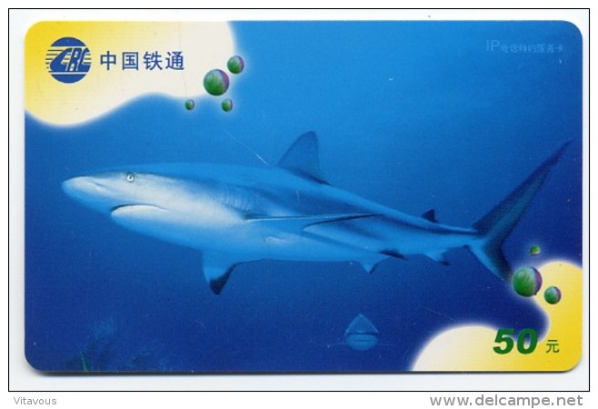 Requin Shark Poisson Fish Animal Mer Télécarte  Chine Phonecard  W295 - Chine