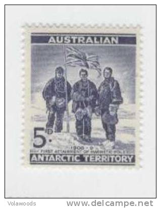 Australian Antartic Territory - Serie Completa Nuova: Terza Serie Emessa - Nuevos