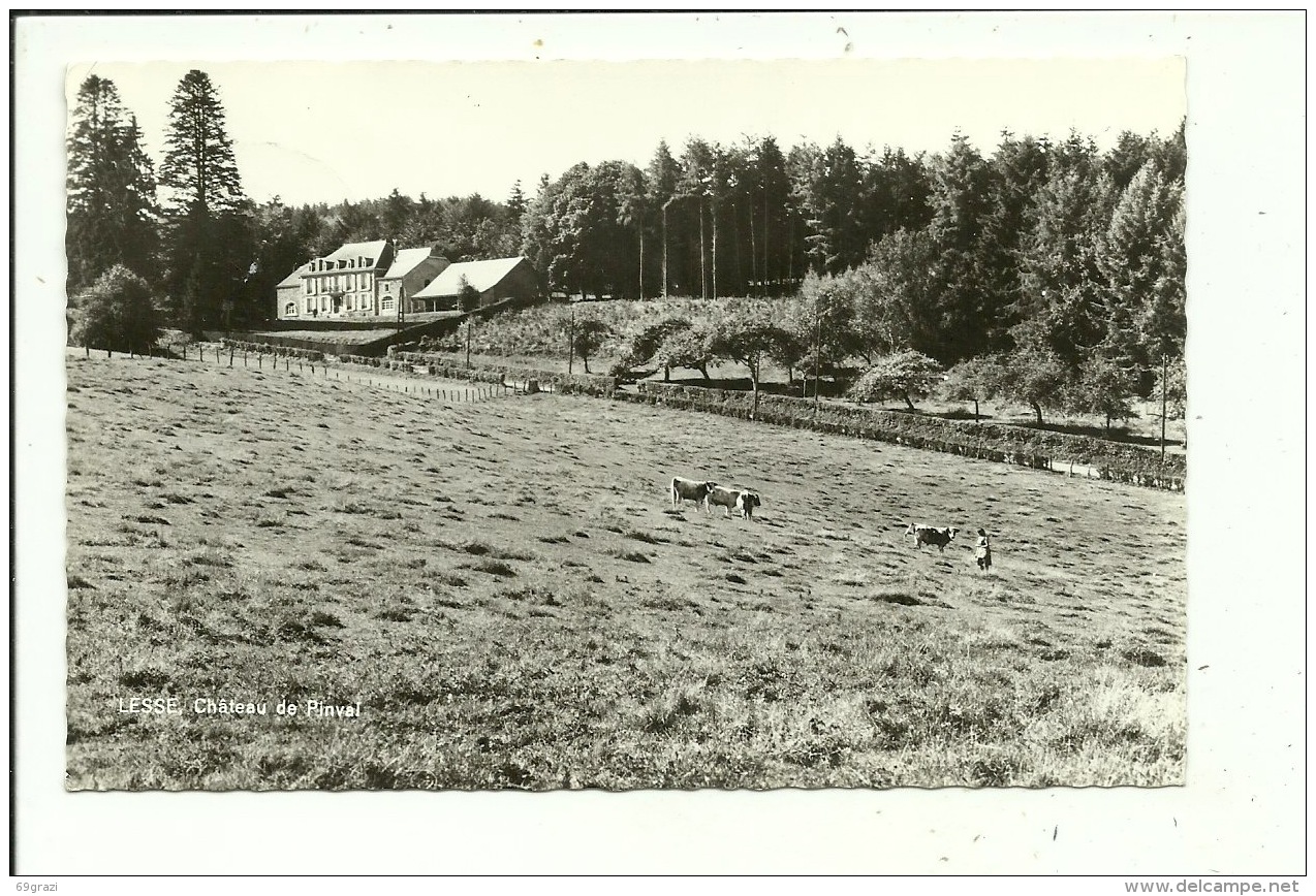 Redu Lesse Château De Pinval - Libin