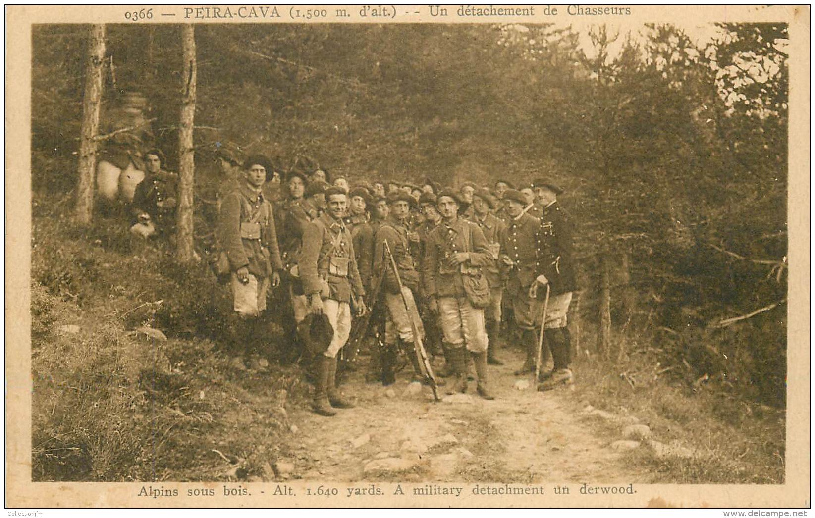 CPA CHASSEUR ALPIN "Alpins Sous Bois" - Régiments