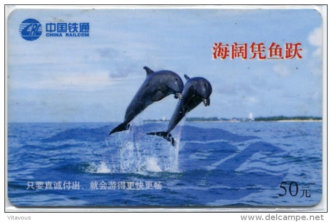 Dauphin Whal Poisson Fish Animal Mer Télécarte Chine Phonecard  W301 - Chine