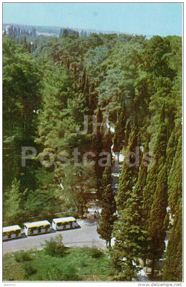 Cypresses - Pitsunda - Abkhazia - 1970 - Georgia USSR - Unused - Géorgie