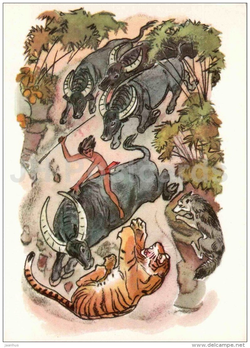 Buffalo - Tiger - Wolf - Sher Khan - Akkela - Mowgli By Rudyard Kipling - 1975 - Russia USSR - Unused - Fiabe, Racconti Popolari & Leggende