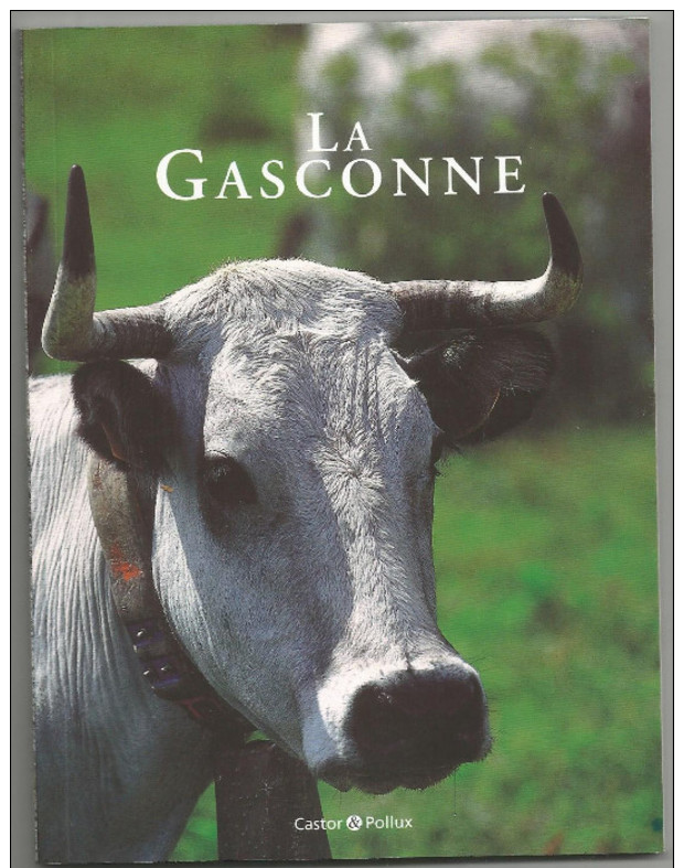 Petit Livre (13.5cm X18cm) Parfait Etat  Les Races De Vaches : La Gasconne - Animales