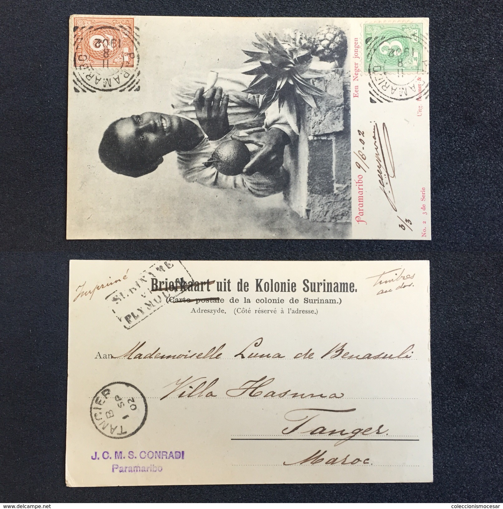 1902. SURINAME. PARAMARIBO - TANGER. SURINAME VIA PLYMOUTH. POSTCARD. - Surinam