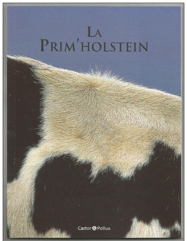 Petit Livre (13.5cm X18cm) Parfait Etat  Les Races De Vaches : La Prim'holstein - Animales