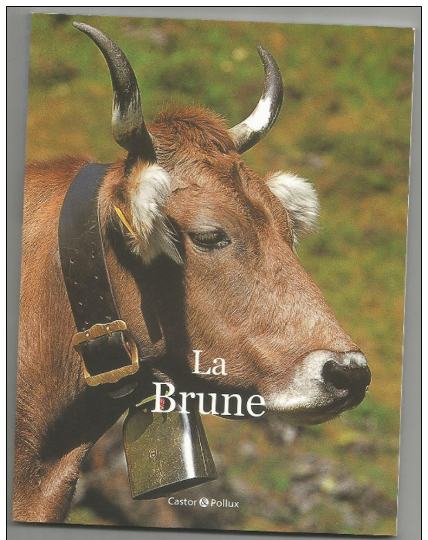 Petit Livre (13.5cm X18cm) Parfait Etat  Les Races De Vaches : La Brune - Animaux