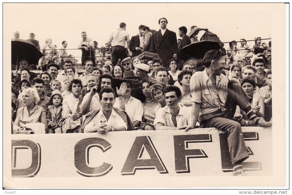 PHOTO 9 X 14 FORMAT Carte Postale CERET (Pyrénées Orientales) Corrida-Course Taureaux Août 1957 Photo Jacky Amélie-les-B - Ceret