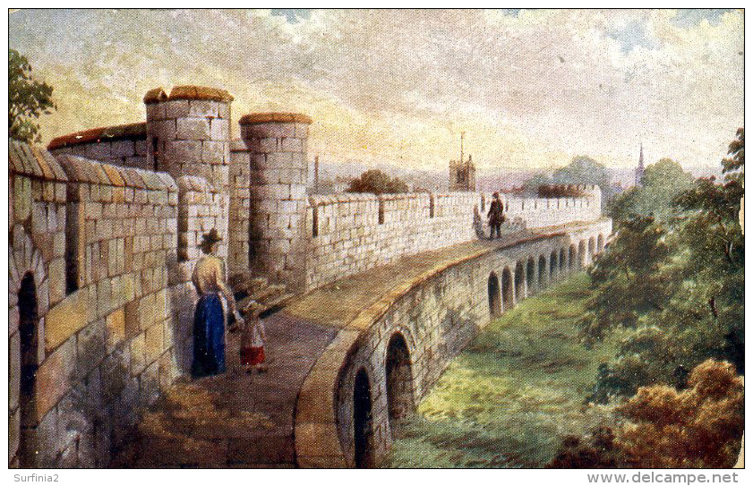 MISCELLANEOUS ART - YORK (City Walls) - N WINSPEAR Art250 - York