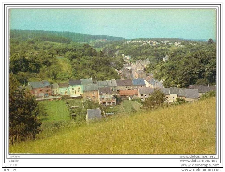 Prix Réduit ..-- PETIGNY ..-- COUVIN ..-- Panorama . - Couvin