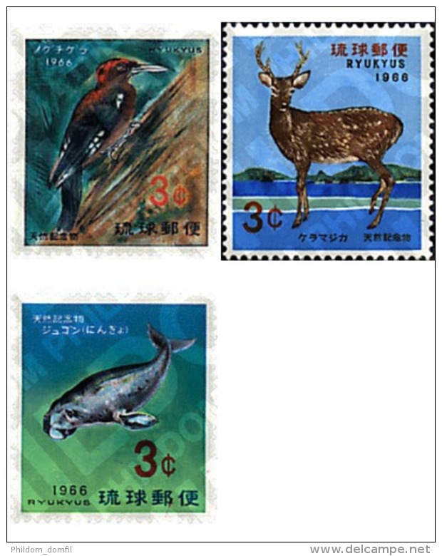 Ref. 34409 * MNH * - RYU KYU. 1966. FAUNA . FAUNA - Other & Unclassified