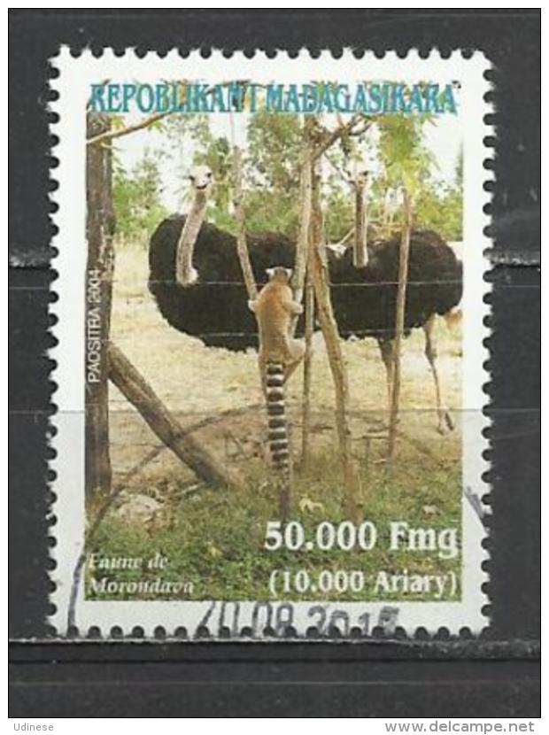 MADAGASCAR 2004 - OSTRICHES - USED OBLITERE GESTEMPELT USADO - Autruches