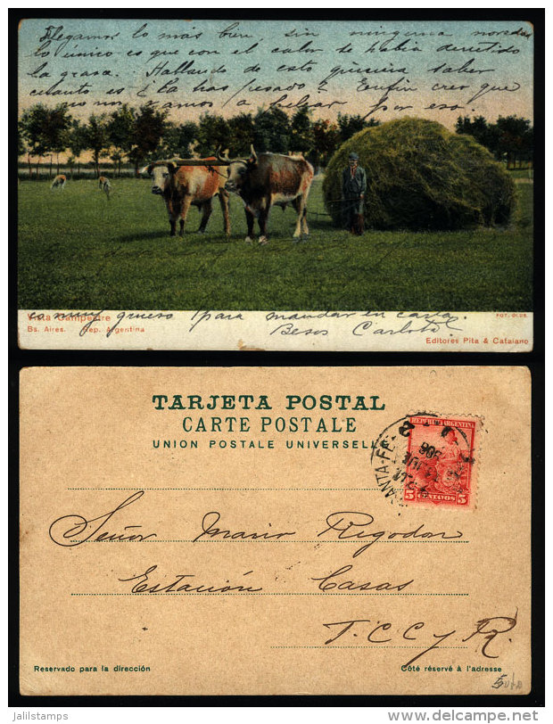 Postcard Mailed From Santa Fe In JUL/1906, Showing A Rural Scene, Ed. Pita &amp; Catalano, VF Quality - Lettres & Documents