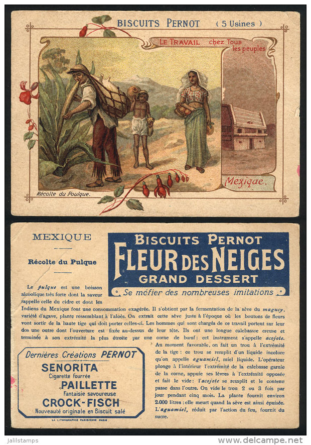 Extraction Of Pulque (Mexico): Old Trading Card With Advertising For PERNOT Biscuits, Minor Defects, Rare! - Other & Unclassified