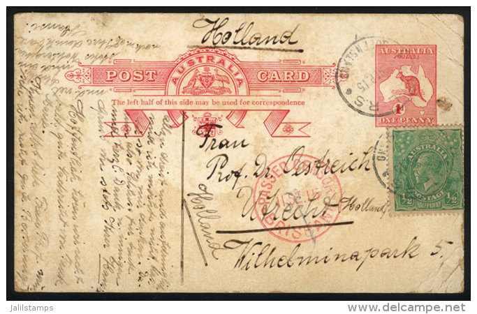 1p. Postal Card (Kangaroo) + &frac12;p., Sent From Bell To Netherlands On 2/SE/1915 With Interesting Censor Mark Of... - Ganzsachen