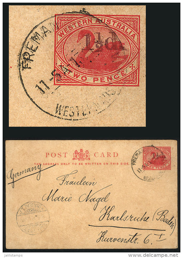 1&frac12;p. Overprinted On 2p. Postal Card Of Western Australia, Sent From FREMAM To Germany In FE/1903?, VF... - Lettres & Documents
