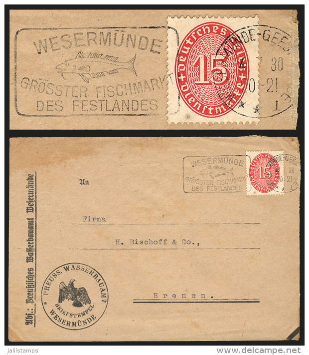 Official Cover Posted On 4/JUL/1930 With Machine Cancel Topic FISH, Very Fine! - Briefe U. Dokumente